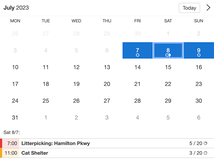 Example of a SuperSaaS widget-type schedule on a tablet device for community service & volunteering