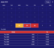 Example of a SuperSaaS widget-type schedule on a tablet device for equipment rental