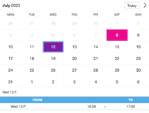 Example of a SuperSaaS widget-type schedule on a tablet device for local councils