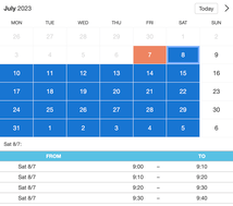 Example of a SuperSaaS widget-type schedule on a tablet device for medical tests and vaccination services