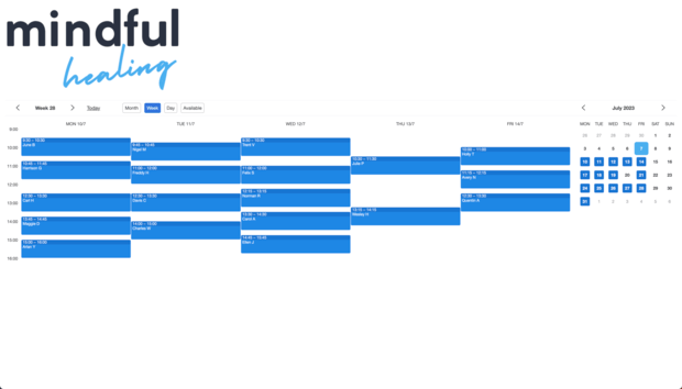 Example of a SuperSaaS schedule on a computer for therapy services